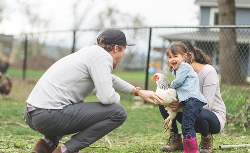 Father and daughter playing with chickens