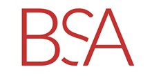 logo for BSA LifeStructures