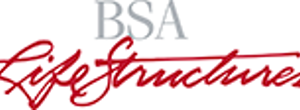 logo for BSA LifeStructures