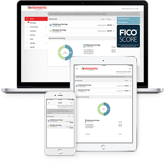 Online banking and mobile app devices