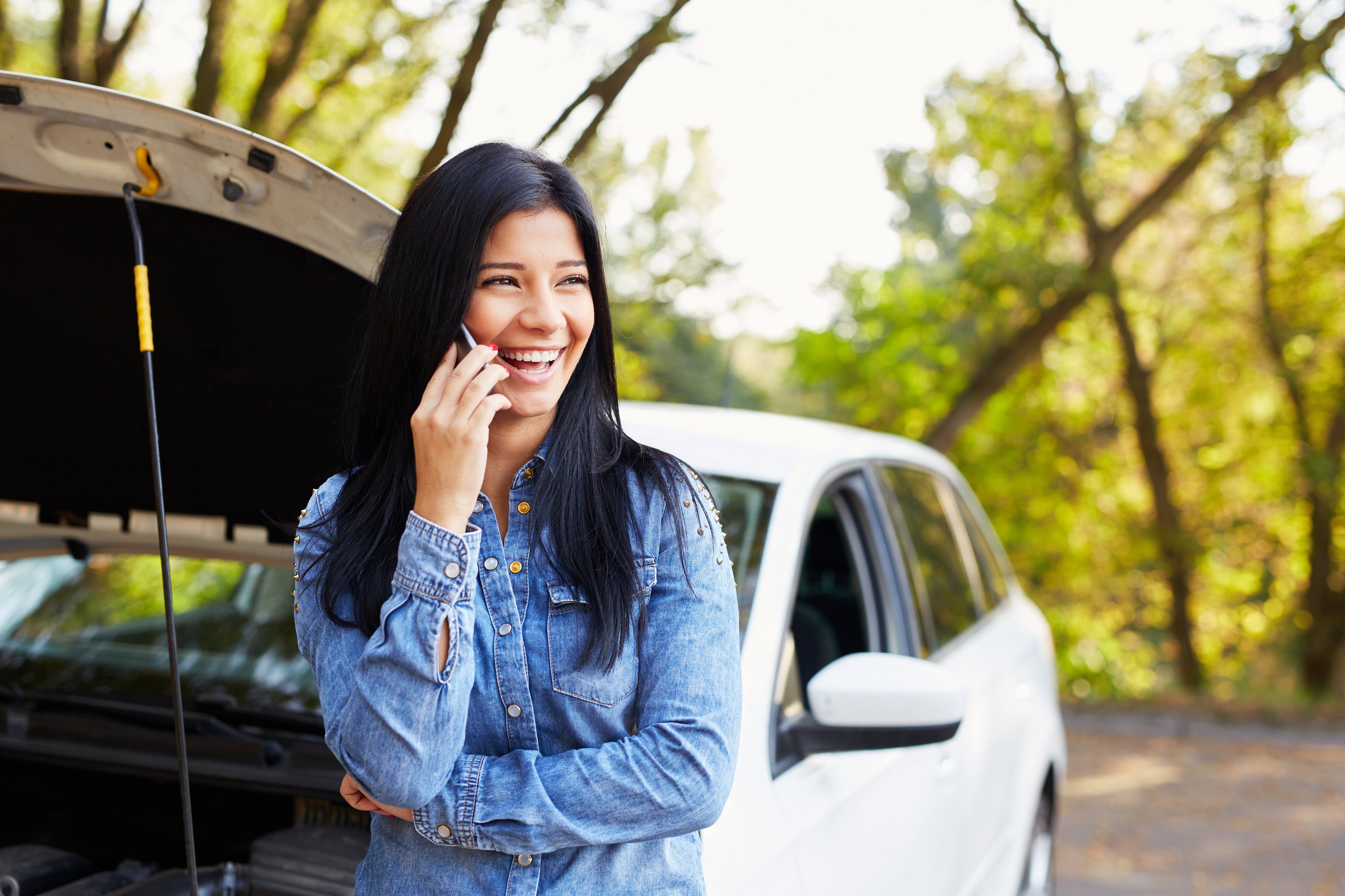 Mechanical Breakdown Protection Elements Financial