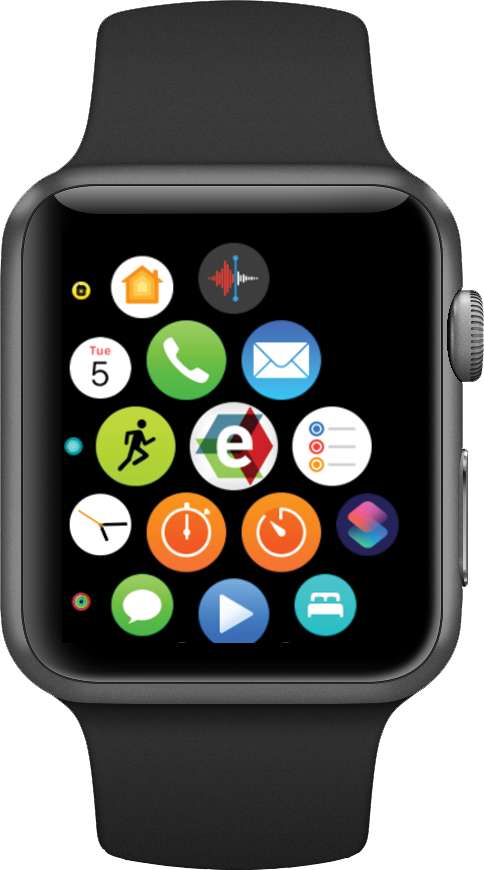 Apple Watch interface