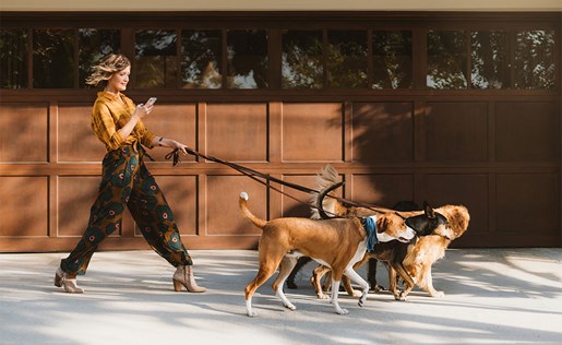 A woman dogwalker getting a payment with Zelle